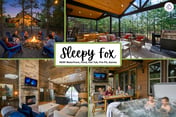Sleepy Fox