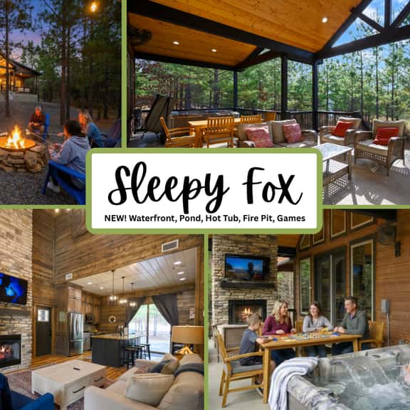 Sleepy Fox - Image 1